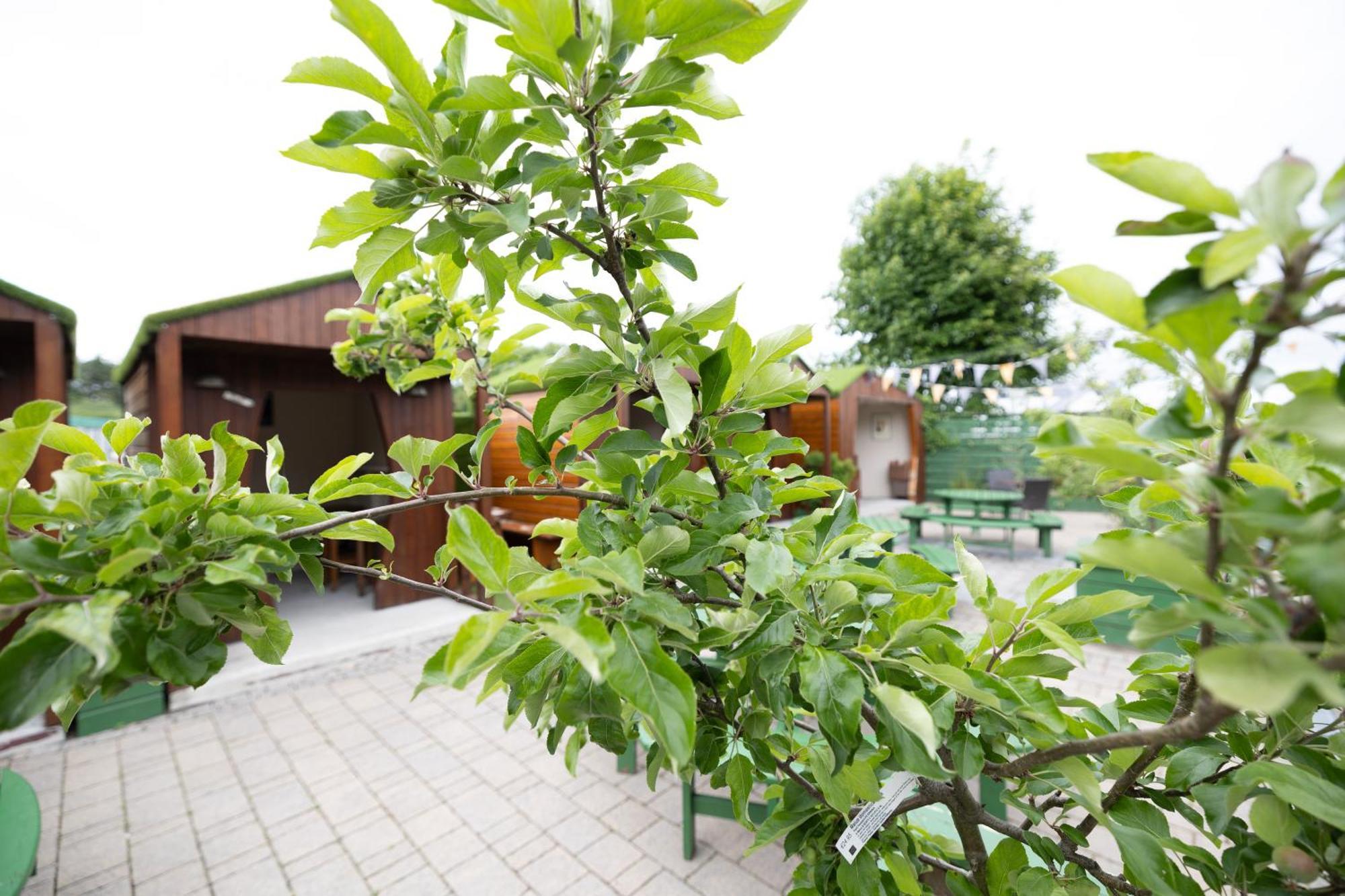 The Orchard House Hotel Kilkenny Bagian luar foto